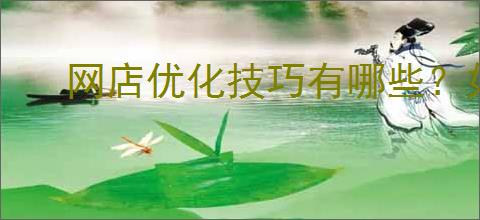 网店优化技巧有哪些？如何更<a href=