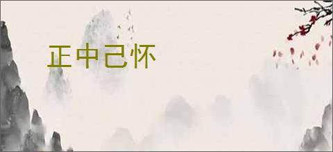 正中己怀