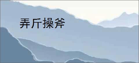 弄斤操斧