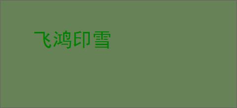 飞鸿印雪