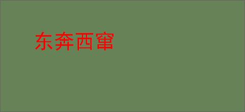 东奔西窜