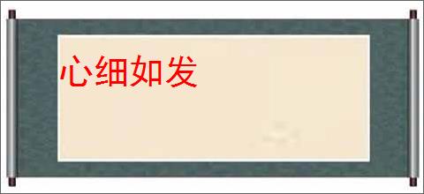 心细如发