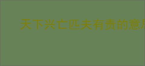 天下兴亡匹夫有责的意思