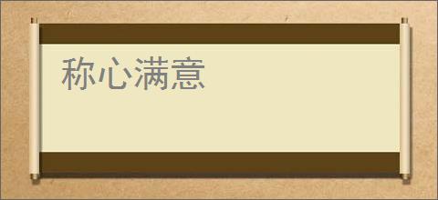 称心满意