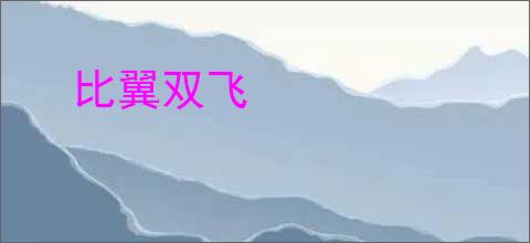 比翼双飞