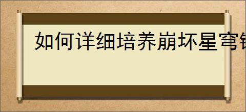 如何详细培养崩坏星穹铁道海瑟音