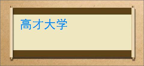 高才大学