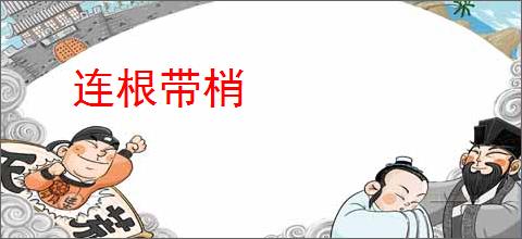 连根带梢