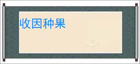 收因种果