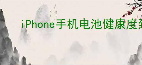iPhone手机电池健康度到多少要换电池