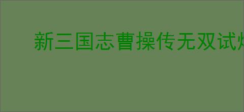 新三国志曹操传无双试炼如何满星