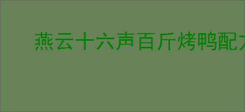 燕云十六声百斤烤鸭配方是什么