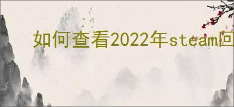 如何查看2022年steam回顾