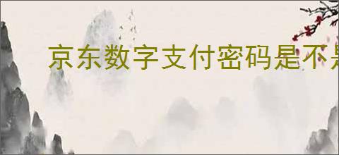 京东数字支付密码是不是银行卡密码