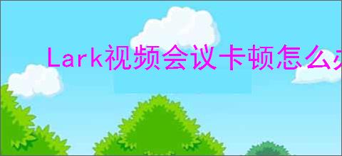 Lark视频会议卡顿怎么办