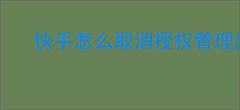 快手怎么取消授权管理应用