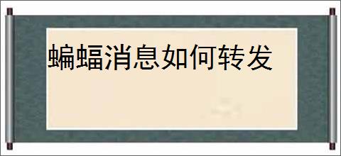 蝙蝠消息如何转发