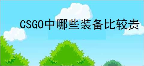 CSGO中哪些装备比较贵