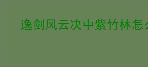 逸剑风云决中紫竹林怎么去