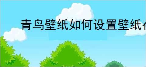 青鸟壁纸如何设置壁纸存储位置