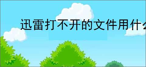迅雷打不开的文件用什么软件打开