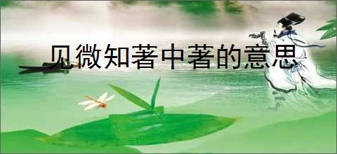 见微知著中著的意思