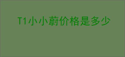 T1小小蔚价格是多少