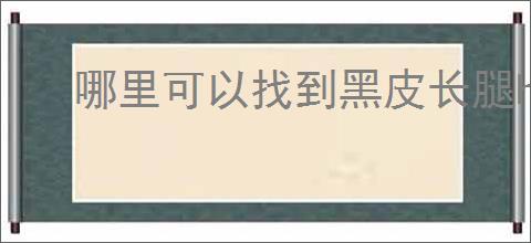 哪里可以找到黑皮长腿helloketty