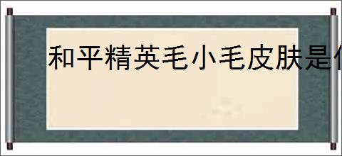 和平精英毛小毛皮肤是什么样