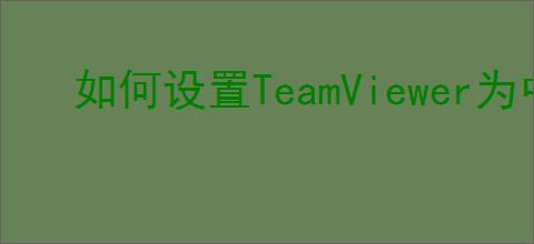 如何设置TeamViewer为中文