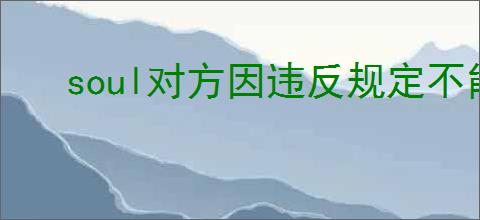 soul对方因违反规定不能回复的原因是什么