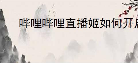 哔哩哔哩直播姬如何开启性能优化
