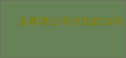 盗墓笔记手游技能如何