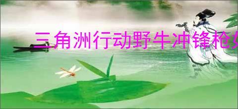 三角洲行动野牛冲锋枪如何改装