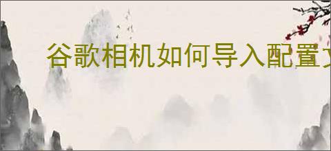 谷歌相机如何导入配置文件
