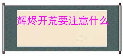 辉烬开荒要注意什么
