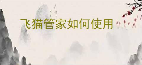 飞猫管家如何使用
