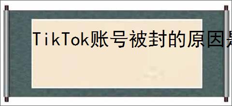 TikTok账号被封的原因是什么