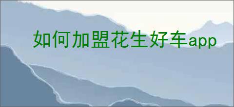 如何加盟花生好车app