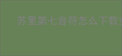 苏里第七音符怎么下载安装