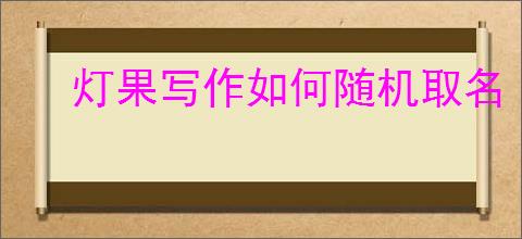 灯果写作如何随机取名
