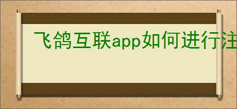 飞鸽互联app如何进行注册登录