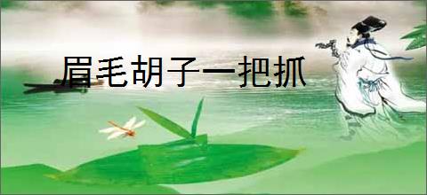 眉毛胡子一把抓