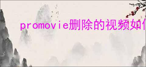 promovie删除的视频如何恢复