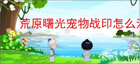 荒原曙光宠物战印怎么汇总