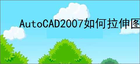 AutoCAD2007如何拉伸图形