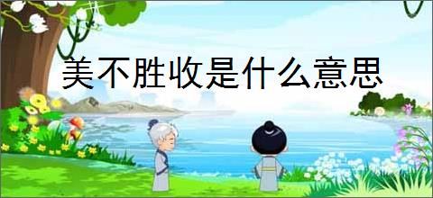 美不胜收是什么意思