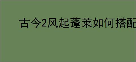 古今2风起蓬莱如何搭配阵容