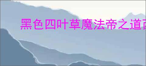 黑色四叶草魔法帝之道西斯装备怎么选