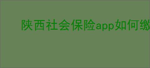 陕西社会保险app如何缴纳医疗保险费